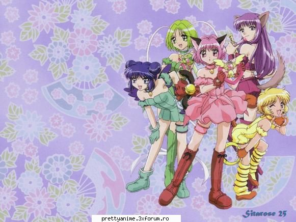 Power Mew Mew - sakura_ubitha:* - Mew Mew Power
